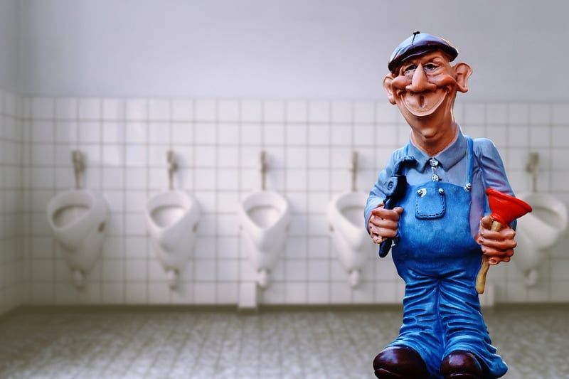 Découverte 2026 : que faire face à un ver très fin dans les toilettes ?