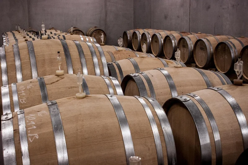 Cave à vin sur mesure ou modulaire : le vrai comparatif