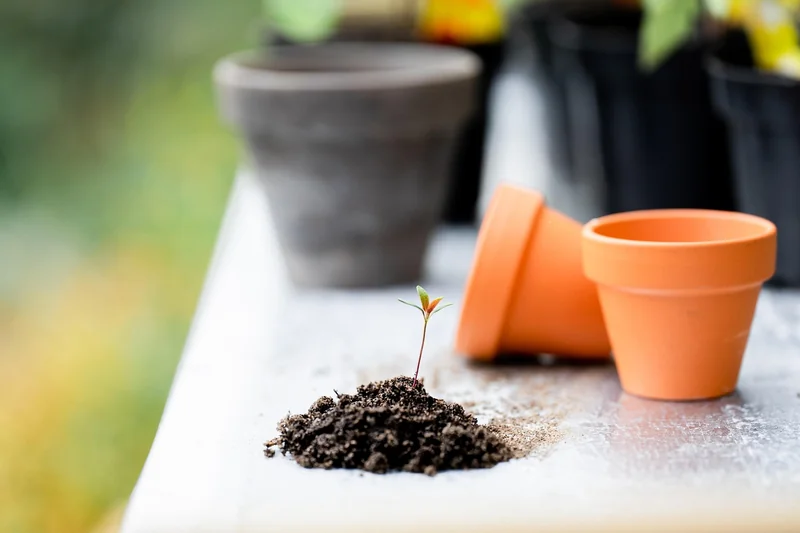 Les outils de jardinage indispensables en 2026