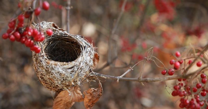 Vider une maison avec emmaus : nos astuces pour un don solidaire réussi