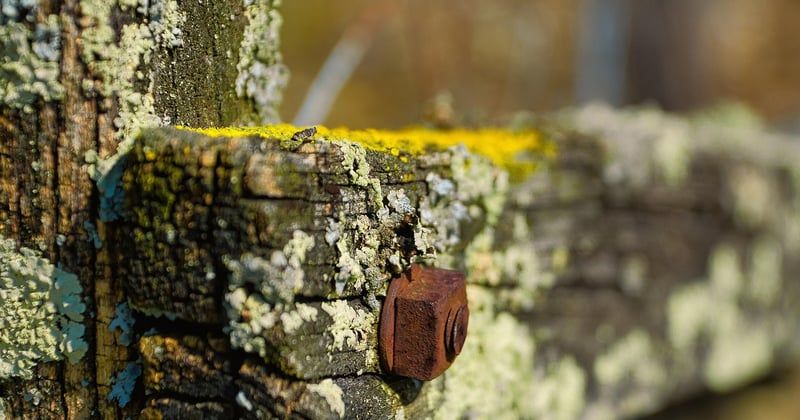 Top 3 des meilleures cloisons en bois intérieur pour transformer votre espace en 2026