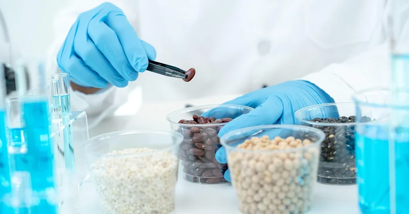 Comment inspecter efficacement votre domicile ?