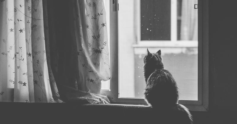 Placo autour fenetre : 7 astuces pour une finition impeccable