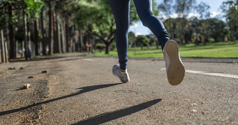 Pourquoi faire appel à un professionnel ?