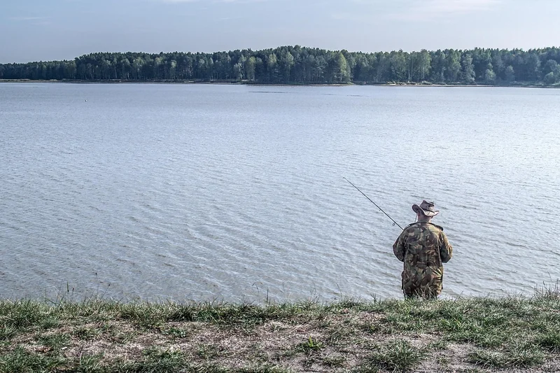 Les inconvénients d'une piscine tubulaire à connaître avant de la camoufler