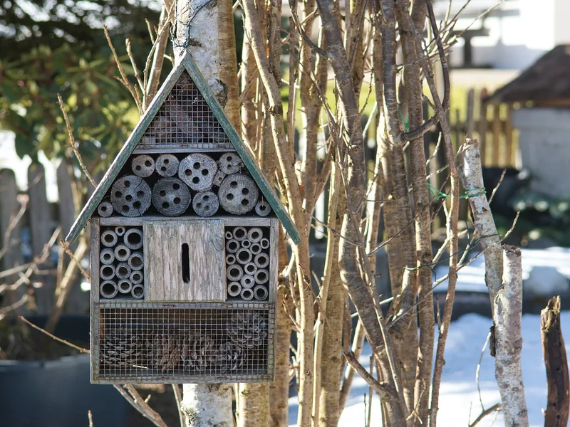 Matériaux et écologie : construire malin sans se ruiner