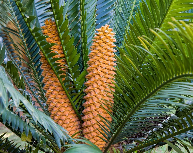 Conseils de jardinage pour un aménagement paysager réussi
