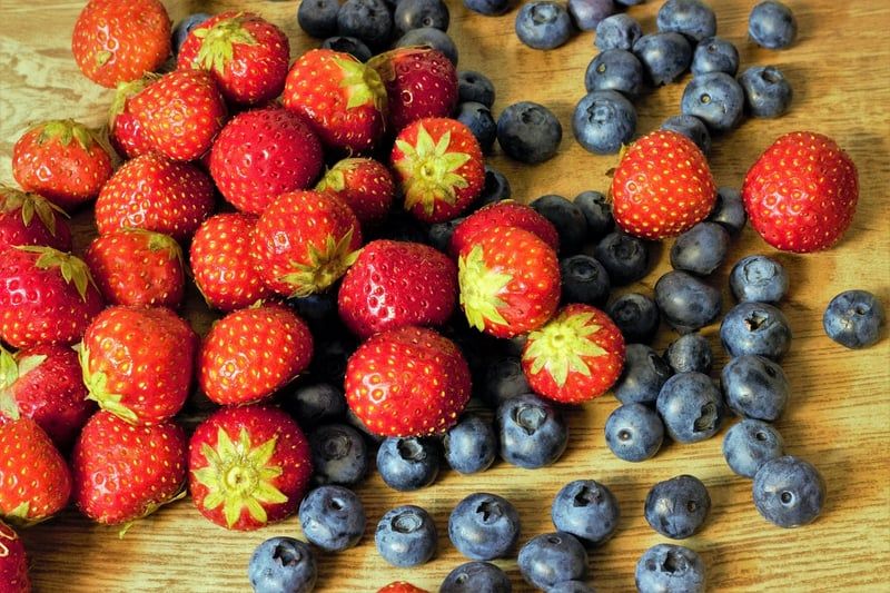 Mon jardinier bio en 2026 : 5 astuces pour un potager sans effort